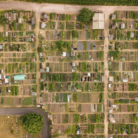 Bird's Eye view of Allotments