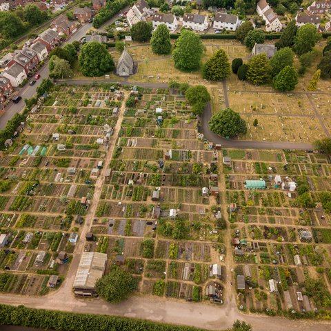 Aerial View of Allotments