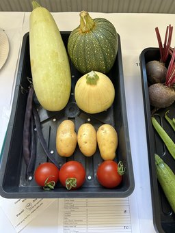 Vegetables Vegetables